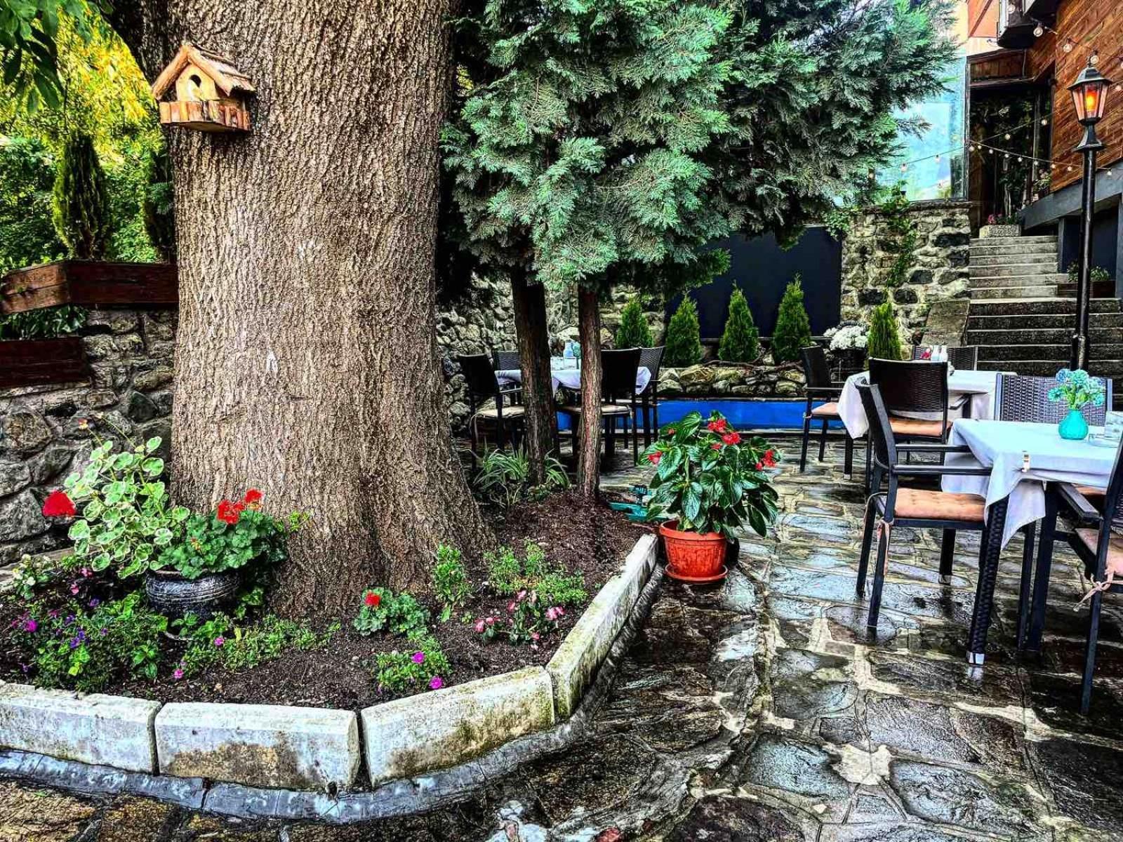 Andesite Boutique Residence Hotel София Экстерьер фото